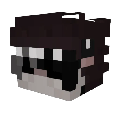 wubbzy6 Minecraft avatar head, 3D render