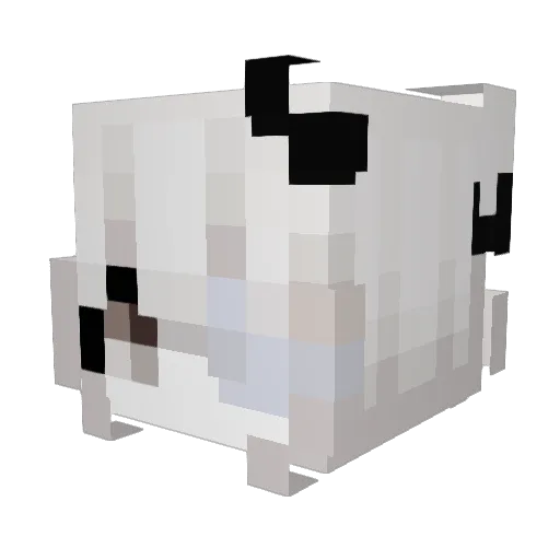 wucan_ Minecraft avatar head, 3D render