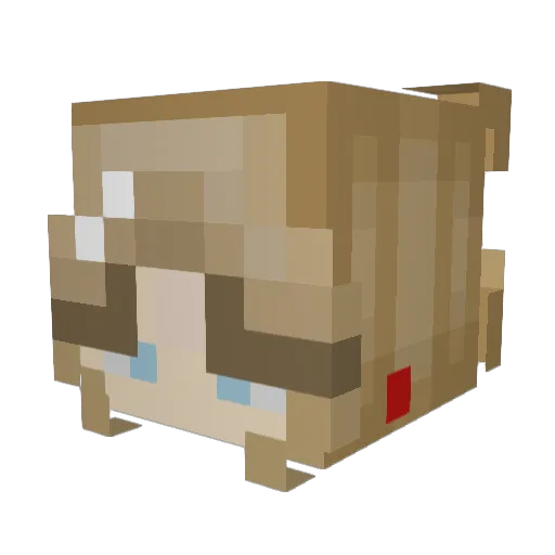 wucci11037 Minecraft avatar head, 3D render