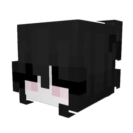 wudi9955 Minecraft avatar head, 3D render