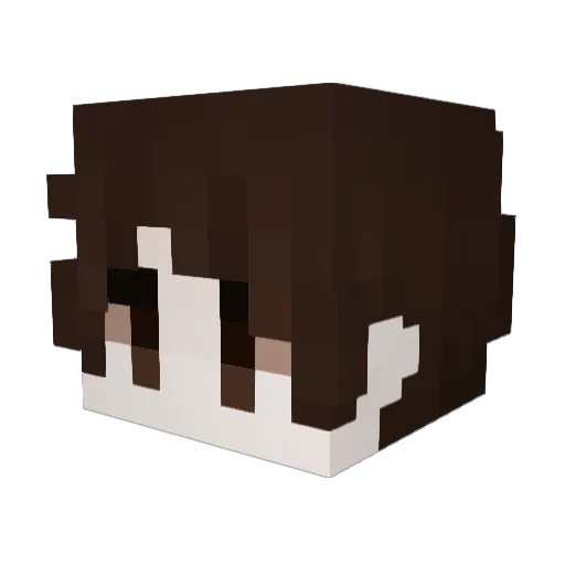 wugui_FmJMW_1117 Minecraft avatar head, 3D render