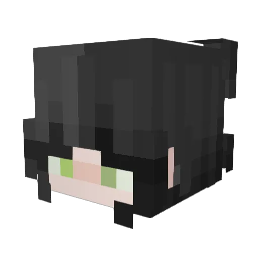 wujood Minecraft avatar head, 3D render