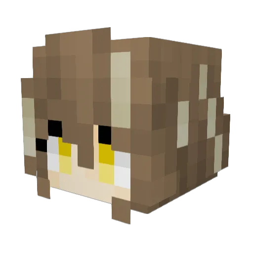 wulongcha1121 Minecraft avatar head, 3D render