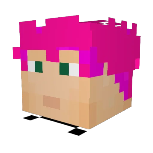 wulper95 Minecraft avatar head, 3D render