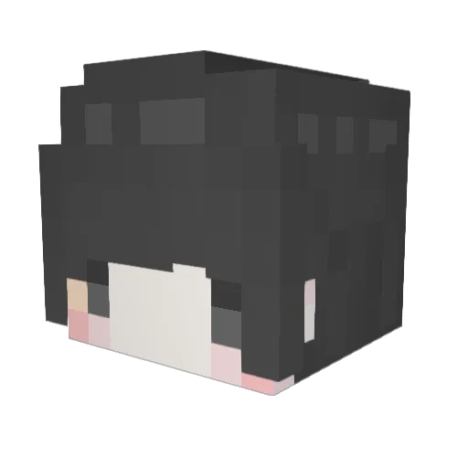 wumoonex2 Minecraft avatar head, 3D render