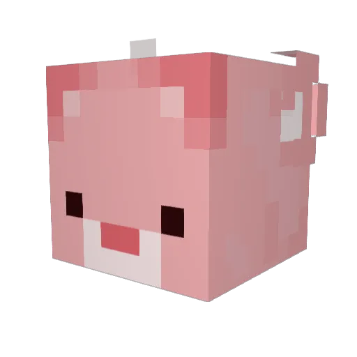 wunderherz Minecraft avatar head, 3D render