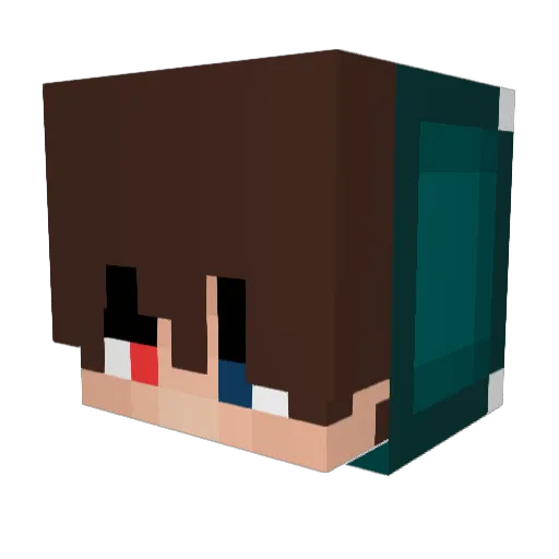 wunga123 Minecraft avatar head, 3D render