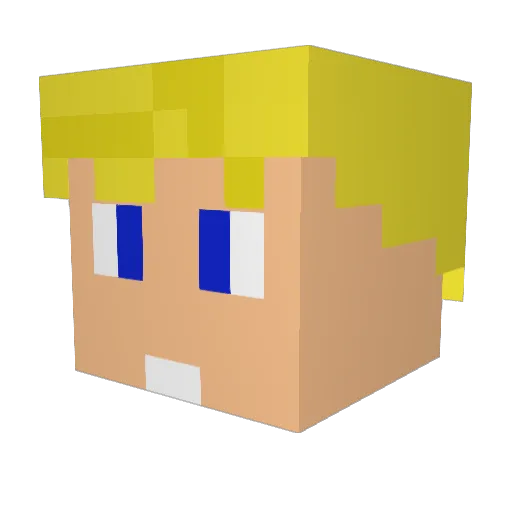 wurtz97 Minecraft avatar head, 3D render