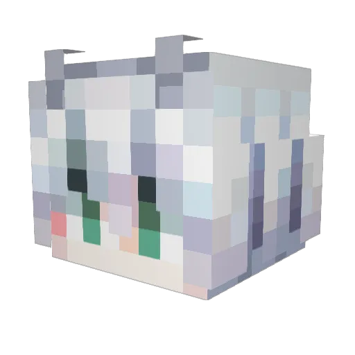 wushao Minecraft avatar head, 3D render