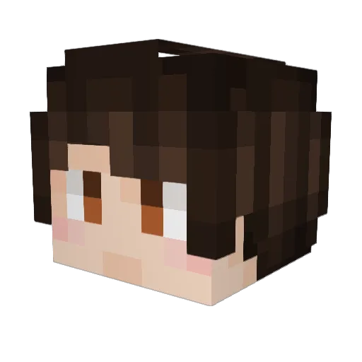 wushiZZC Minecraft avatar head, 3D render