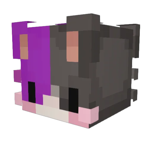 wusiuwka Minecraft avatar head, 3D render