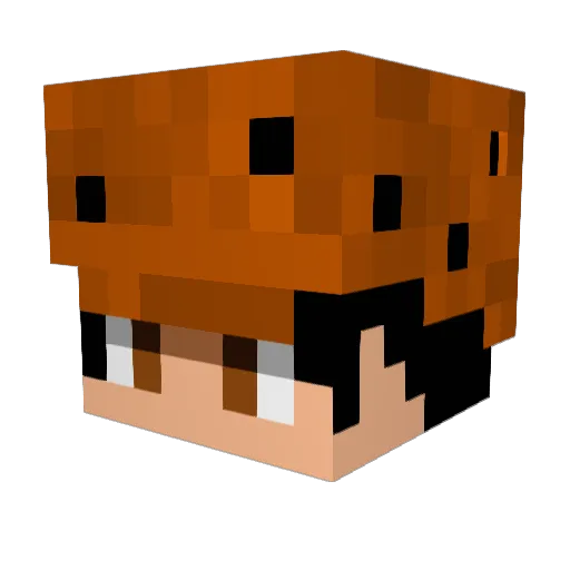 wutcan Minecraft avatar head, 3D render