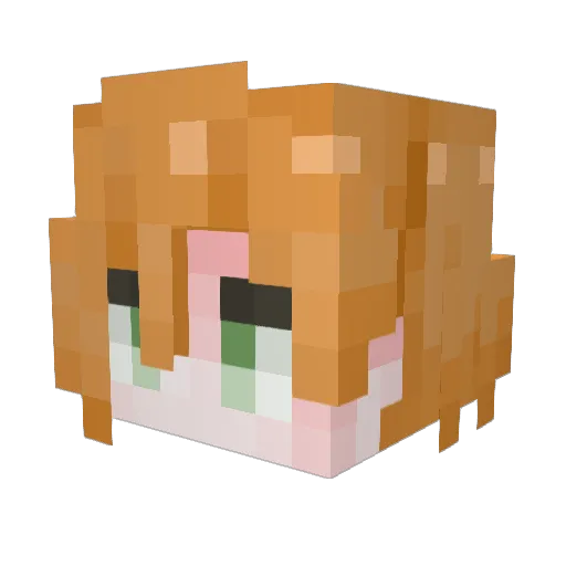 wuxunchun114 Minecraft avatar head, 3D render