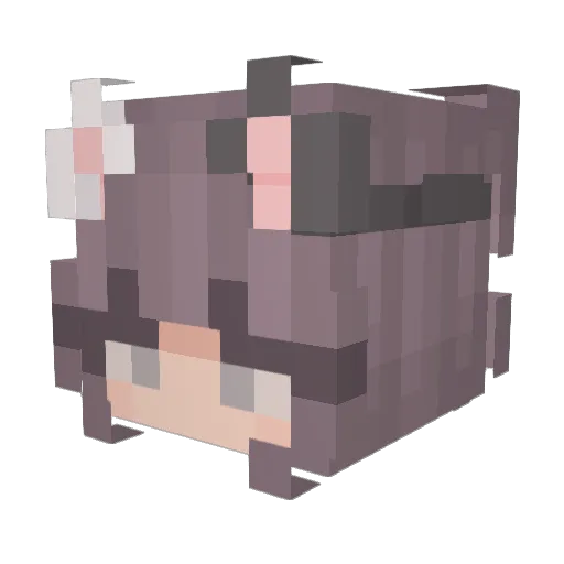 wuyami Minecraft avatar head, 3D render