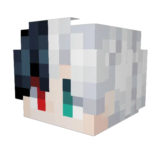 wuyh183 Minecraft avatar head, 3D render