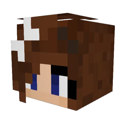 wuzi147 Minecraft avatar head, 3D render