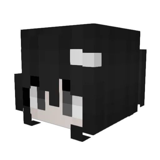 wvga Minecraft avatar head, 3D render