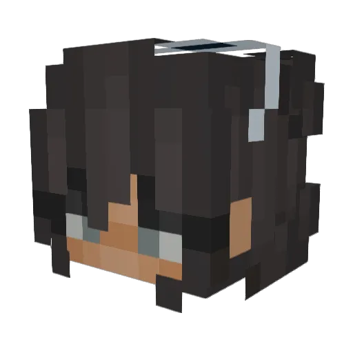 wvsted Minecraft avatar head, 3D render