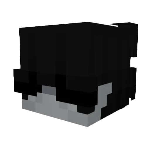 wvva Minecraft avatar head, 3D render