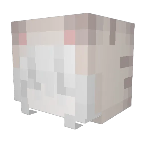 wvwn Minecraft avatar head, 3D render