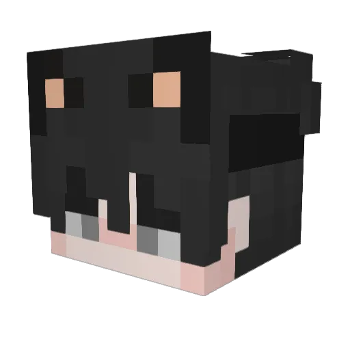 wvxd Minecraft avatar head, 3D render