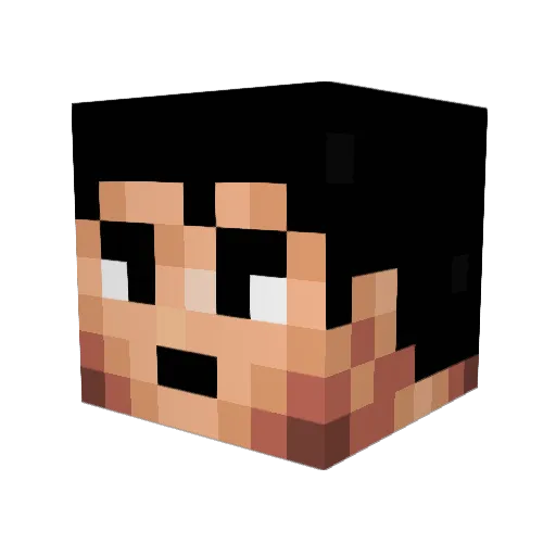 ww2000 Minecraft avatar head, 3D render