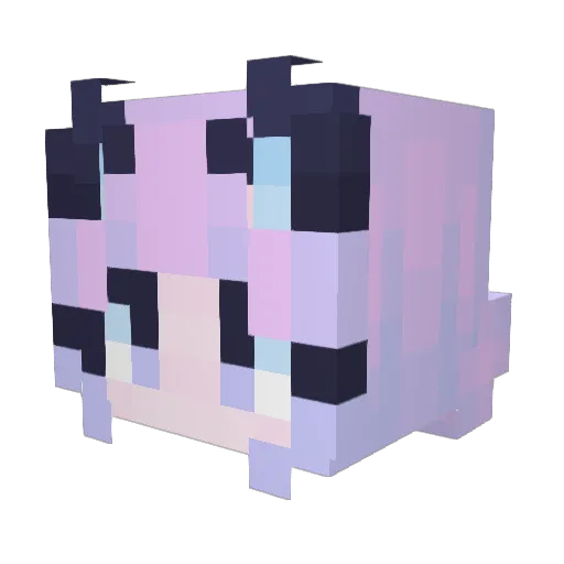 wwHAww Minecraft avatar head, 3D render