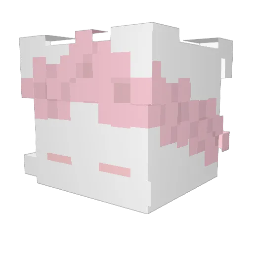 ww_o77 Minecraft avatar head, 3D render