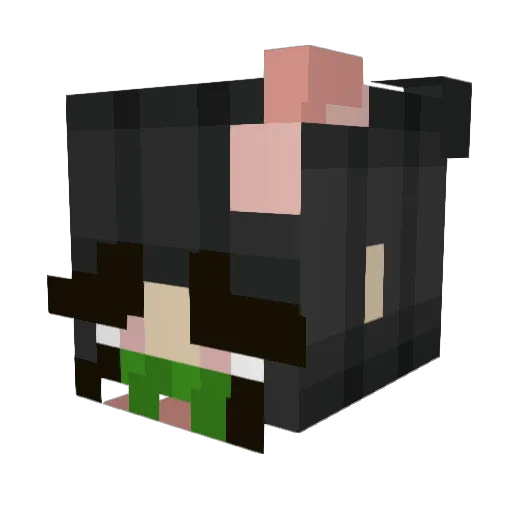 wwakemeup Minecraft avatar head, 3D render