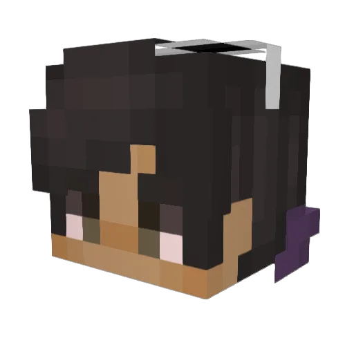 wwcen1312 Minecraft avatar head, 3D render