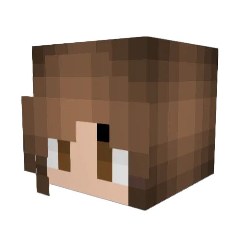 wweennddyy Minecraft avatar head, 3D render