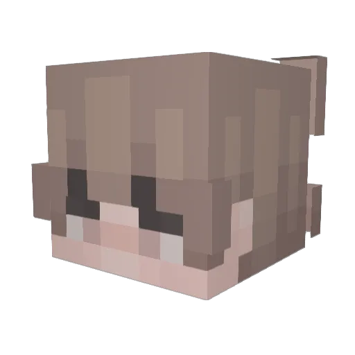 wwenging Minecraft avatar head, 3D render