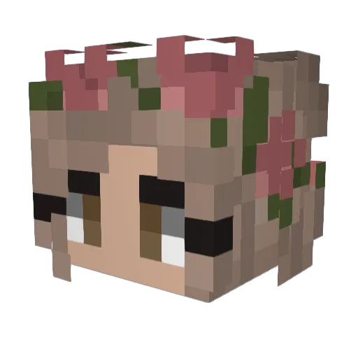 wwewa Minecraft avatar head, 3D render