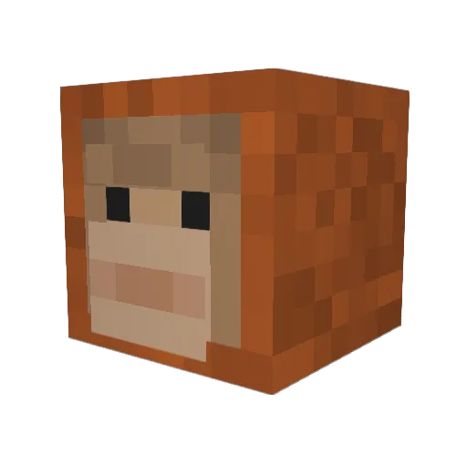 wwickerbasket Minecraft avatar head, 3D render