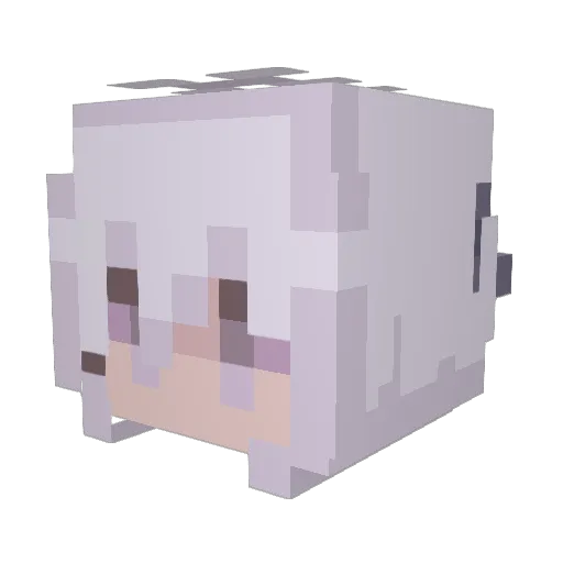 wwils_n Minecraft avatar head, 3D render