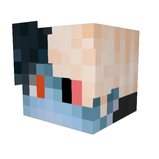 wwipee Minecraft avatar head, 3D render