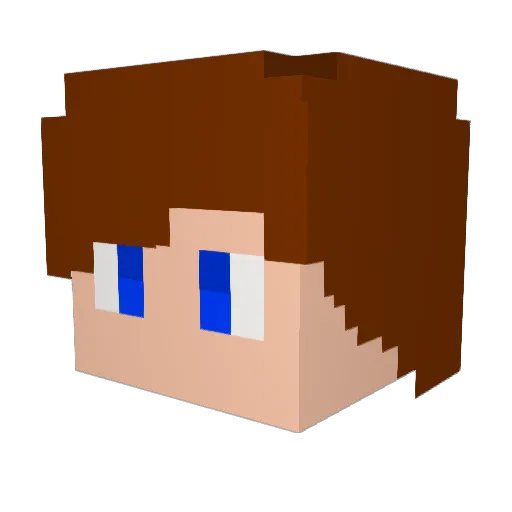 wwlro Minecraft avatar head, 3D render