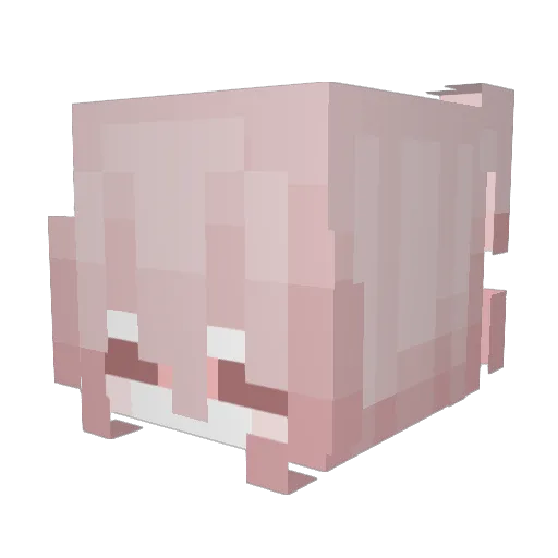 wwmaa Minecraft avatar head, 3D render