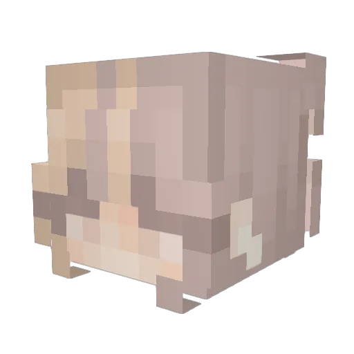 wwoonie Minecraft avatar head, 3D render