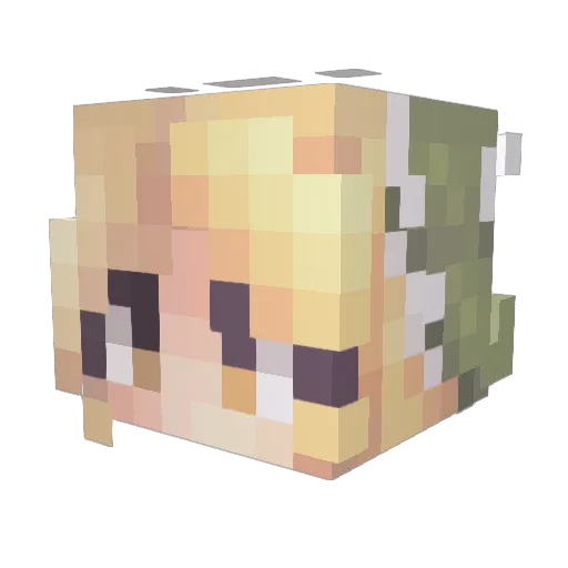 wwu1282 Minecraft avatar head, 3D render