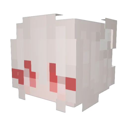 wwwJerrycom Minecraft avatar head, 3D render