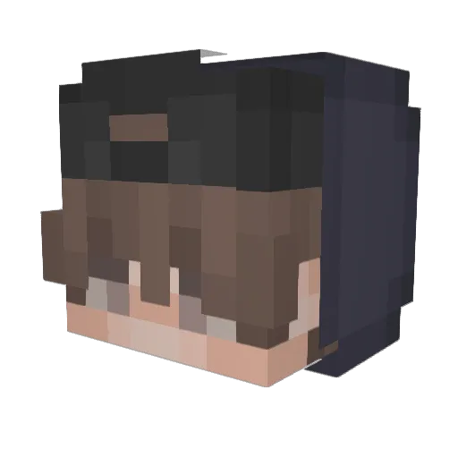 wwwenin Minecraft avatar head, 3D render