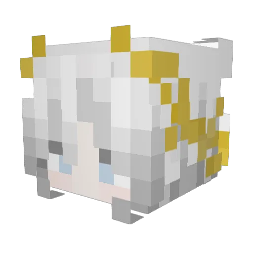 wwwk12 Minecraft avatar head, 3D render