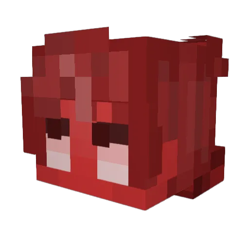 wwwoops Minecraft avatar head, 3D render