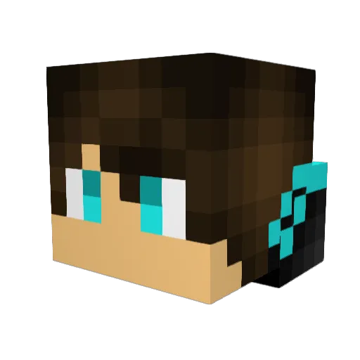 wwwor1 Minecraft avatar head, 3D render
