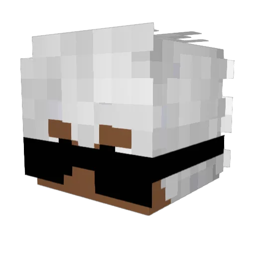 wwwpocotom Minecraft avatar head, 3D render