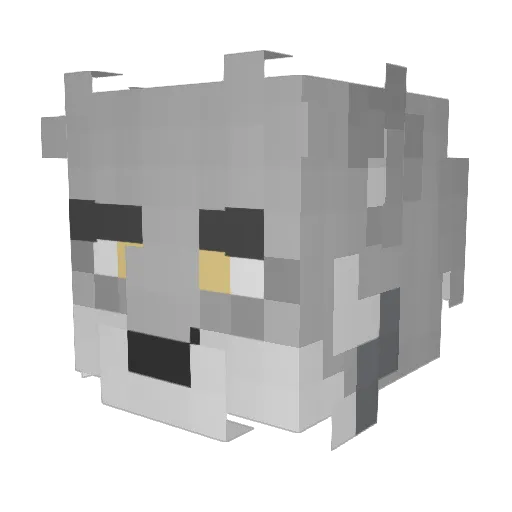 wwwrgq Minecraft avatar head, 3D render