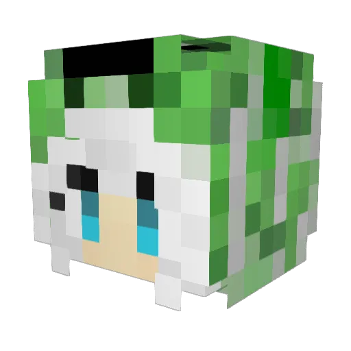 wwwxixi Minecraft avatar head, 3D render