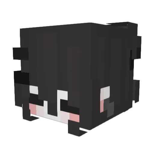 wxchii Minecraft avatar head, 3D render