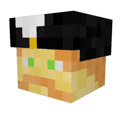 wxdpk Minecraft avatar head, 3D render